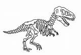 Coloring Dinosaur Skeleton Bones Tyrannosaurus Skelett Dinosaurier Coloringonly Ausdrucken Stegosaurus Gemerkt sketch template