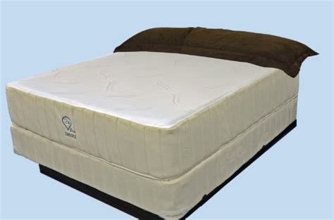 prodigy  adjustable split king bed set sleep system leggett platt  luxury   gel