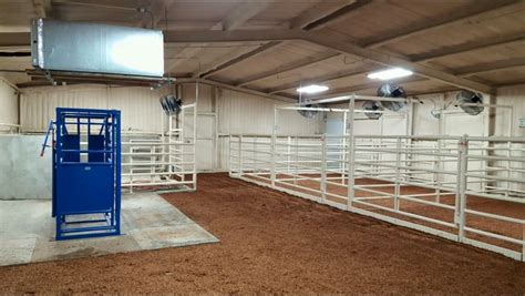 cattle dairy barn plans cattle barn livestock barn