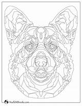 Coloring Corgi Dog Welsh Pembroke Domestic Wolf sketch template