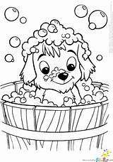 Coloring Pages Dog Sled Getdrawings sketch template