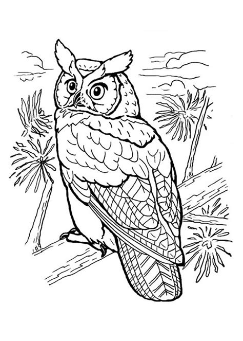 animal coloring pages owl