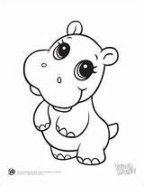 Coloring Hippo sketch template