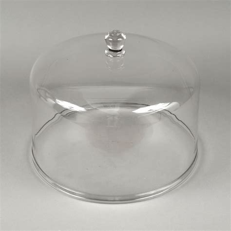 Rare Large Size Glass Dome • Jeffrey Tillou Antiques