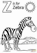 Zebra Colorare Supercoloring Zebre Disegni Zebras Preschool Zz Cebra Cebras Apprentissage Mammiferi Bambini Eleicoes Printmania sketch template