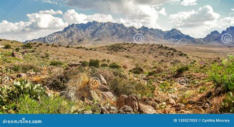 florida mountains  deming  mexico stock image image  hike desert