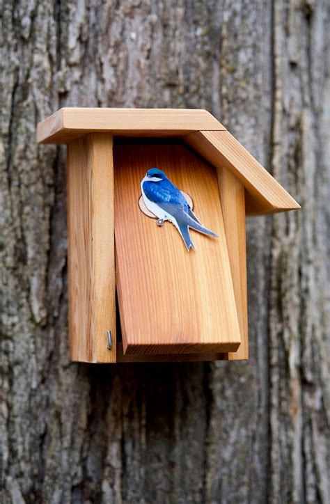 tree swallow cedar bird house etsy