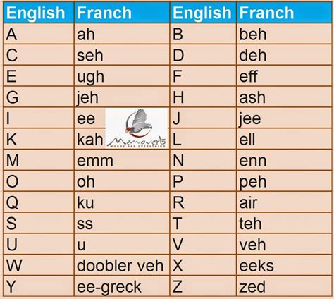 learn french language  native  french language