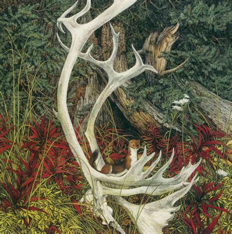 Bev Doolittle The Sacred Circle This Is A Close Up Of