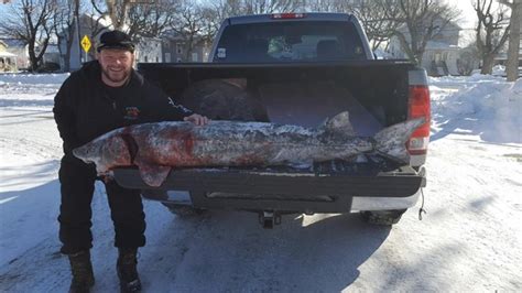 day 4 of sturgeon spearing in fond du lac by wisconsin dnr