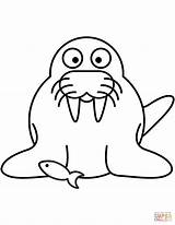 Walrus Coloring Cartoon Pages Drawing Printable Outline Dot Clipart Getdrawings sketch template