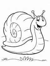 Lumaca Snail Crayola Animali Lumache Snails Gaddynippercrayons Clipartmag sketch template