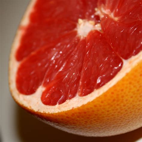 grapefruit picture  photograph  public domain