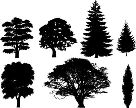 tree silhouettes clip art vector clip art ai svg eps vector