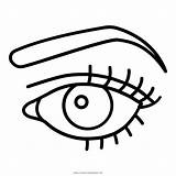 Latisse Occhio Colorir Olho Eye Eyelash Brow Pinclipart Pngfind Ultracoloringpages sketch template