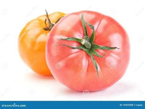 big tomato stock photo image  isolated tomato ripe