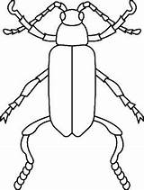 Beetle Crayons sketch template