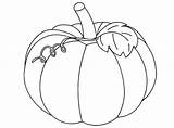 Pumpkin Coloring Pages Printable Leaves Squash Color Drawing Vine Pumpkins Fall Leaf Coloringpage Patch Halloween Christian Colouring Print Coloriage Eu sketch template