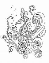 Coloring Seahorse Pages Grown Colouring Adult Horse Color Adults Sea Printable Outline Sheets Elegant Seahorses Coloring4free Drawing Para Colorir Mandalas sketch template