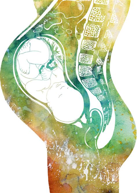 Pregnancy Digital Art By Erzebet S