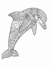Dieren Volwassenen Erwachsene Delfin Kleurplaten Dolphin Malvorlagen Delfino Zentangle Ausdrucken Delfine Fur Schwer Muster Stampare Drucken Ausmalbild Malvorlage Dort Dolphins sketch template