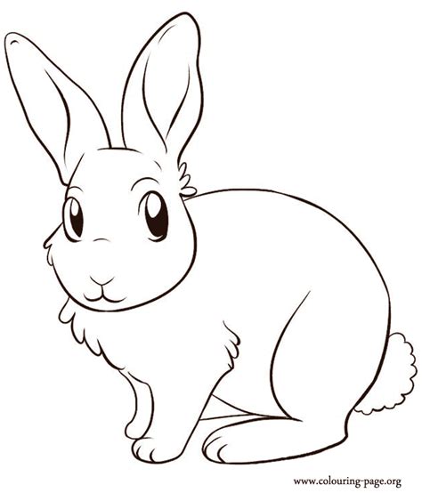 rabbit coloring page  printable  coloring page coloring home