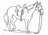 Horse Galloping Coloring Pages Getcolorings Colouring Printable sketch template
