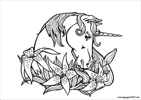 unicorn coloring pages drawing printable  unicorn coloring pages