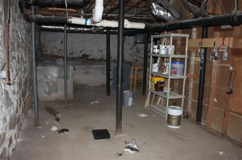 domestic revolt   house  damp moldy basement