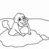 Groundhog Cute Surfnetkids Coloring sketch template