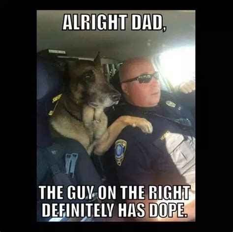 31 funny police cop memes to get a laugh viralgust police humor
