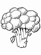 Coloring Pages Primarygames Vegetable Fruit sketch template