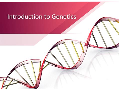Introduction To Genetics Powerpoint Teaching Resources