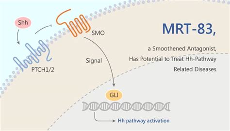 Mrt 83 A Potent Smoothened Antagonist Has Potential To Treat Hh