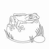 Frog Coloring Pages Glass Delightful Ones Little sketch template
