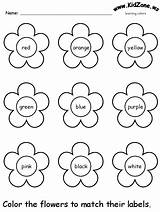 Worksheets Color Colors Preschool Flowers Printable Review Worksheet Kindergarten Nursery Activity Coloring Activities Practice Printables Learning Recognition Pages Ws Kidzone sketch template