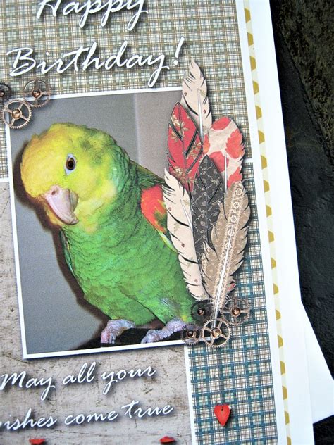 happy birthday card parrot card amazon parrot husband etsy