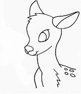 Deer Chevreuil Simple Enjoyable Leisure Hueva Clipartmag sketch template