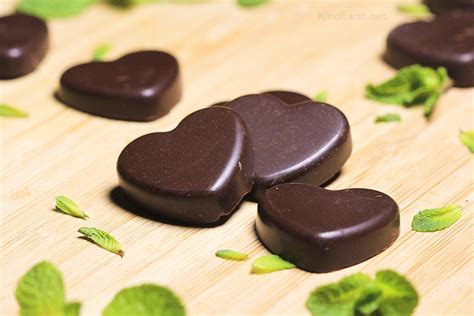 easy vegan mint chocolates  coconut sugar kind earth