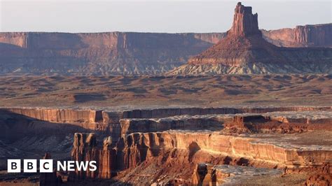 national parks advisory board members resign en masse