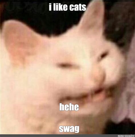 meme   cats hehe swag  templates meme arsenalcom