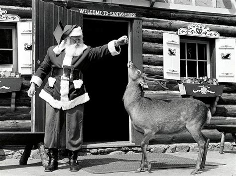 Santa Feeding The Reindeer Vintage Christmas Photos Santa And