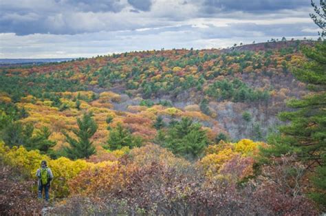 Blue Hills Reservation Is Best Fall Foliage Viewing In Massachusetts