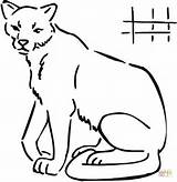 Coloring Cougar Pages Drawing Puma Easy Clipart Print Animals Animal Color Drawings sketch template
