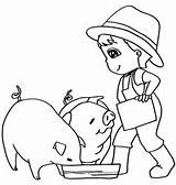 Feeding Coloring Pigs Colorare Bambini Vecteur Alimentation Porc Maiale Alimentazione Vettore Attaphong sketch template