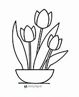 Coloring Tulip Pages Flower Flowers Tulips Print Printable Pointillism Simple Color Traceable Large Kids Patterns Clip Clipart Animal Spring Popular sketch template