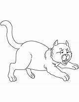 Cat Jumping Coloring Drawing Getdrawings sketch template