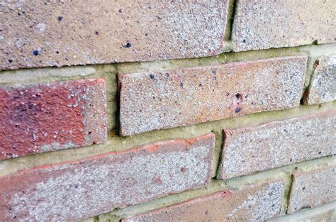 builder  brick mortar repairs fail      job