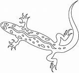 Lizard Coloring Pages Printable Kids sketch template