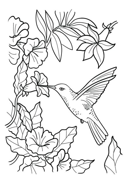 blue bird coloring pages  getcoloringscom  printable colorings